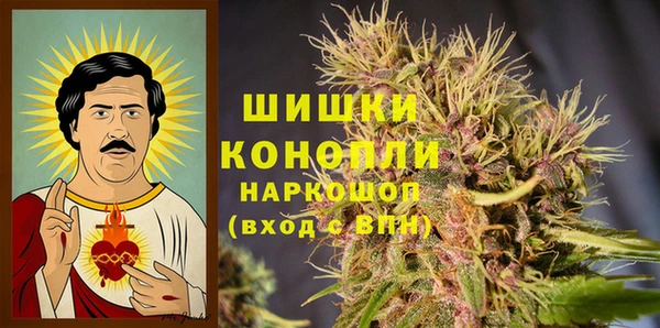 гидра Алексеевка