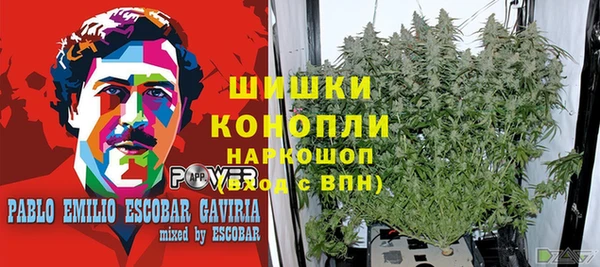 героин Алексин