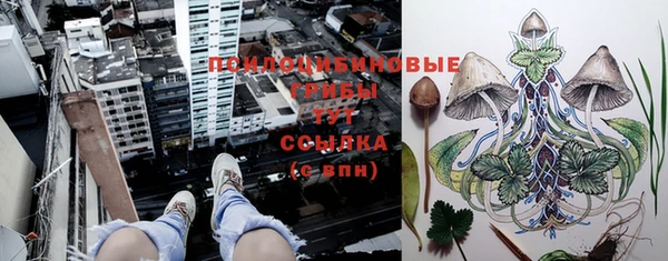 гашик Абдулино